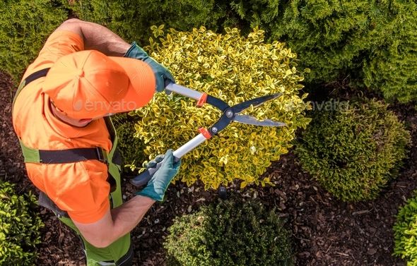 Plant maintenance